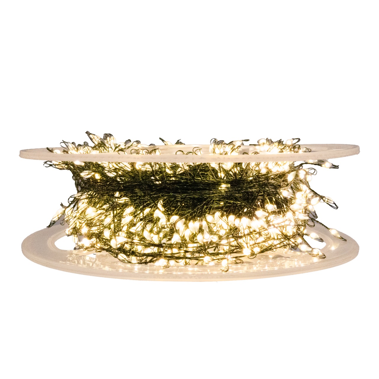 Рододендрон гибридный Энн Линдсей